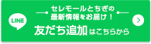 LINE友だち追加